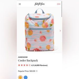June shine insulated cooler backpack NWT